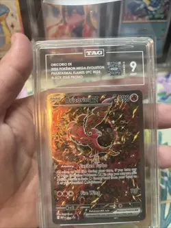 Pokemon Oricorio ex 024 Mega Evolution Black Star Promo TAG Mint 9 - Image 3