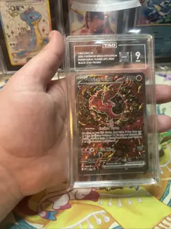 Pokemon Oricorio ex 024 Mega Evolution Black Star Promo TAG Mint 9 - Image 5