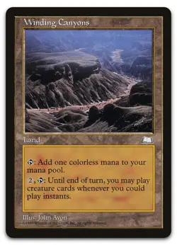 Winding Canyons (NM) Weatherlight WTH Magic MTG - Image 1