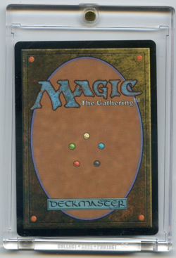 2026 Magic MTG TMNT Michelangelo, Improviser Borderless Gold Foil Signature - Image 4