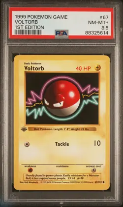 1999 POKEMON BASE SET 1ST EDITION #67 VOLTORB PSA 8.5 - Image 1