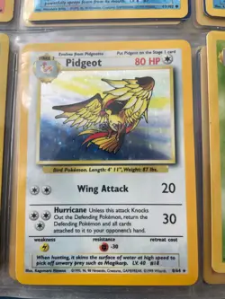 Pidgeot 24/64 Jungle Holographic Pokemon Card - Image 1