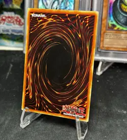 2002 Blue-Eyes White Dragon DDS-001 (Dark Duel Stories) - Yu-Gi-Oh! - NM - Image 5