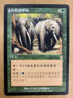 MTG 1x CHINESE Call of the Herd # 231 Odyssey Premodern Magic Gathering x1 MP - Image 1