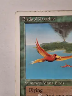 MTG: Birds Of Paradise Card Regular Revised Magic The Gathering- MP A BB - Image 2