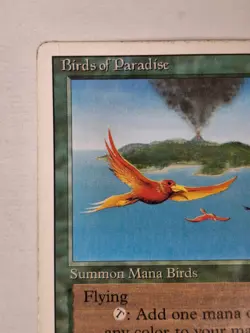 MTG: Birds Of Paradise Card Regular Revised Magic The Gathering- MP C BB - Image 2