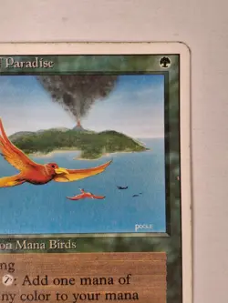 MTG: Birds Of Paradise Card Regular Revised Magic The Gathering- MP C BB - Image 3