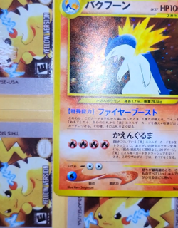 Pokemon Meganium Typhlosion Feraligatr Japanese Neo Premium File Promo Holo NM - Image 2
