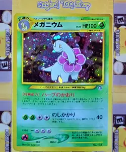 Pokemon Meganium Typhlosion Feraligatr Japanese Neo Premium File Promo Holo NM - Image 3