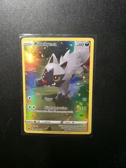 Poochyena GG33/GG70 Holo Crown Zenith Galarian Gallery Pokemon TCG NM - Image 1