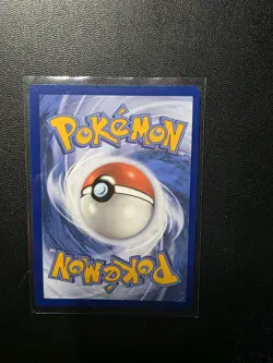 Poochyena GG33/GG70 Holo Crown Zenith Galarian Gallery Pokemon TCG NM - Image 2