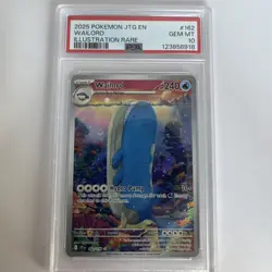 2025 POKEMON JTG EN-JOURNEY TOGETHER #162 WAILORD ILLUSTRATION RARE PSA 10 - Image 1