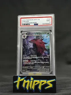 2025 Pokemon White Flare Zoroark 143 Illustration Rare MINT PSA 9 *NEW CERT!* - Image 1