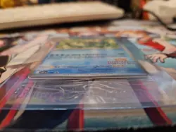 SEALED Pokemon 2024 Illustration Contest Promo Feraligatr Pikachu Toxtricity ex - Image 3