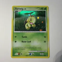Pokemon TCG Turtwig Holo DP01 Promo Card 2007 Lv10 LP lightly played - Image 1