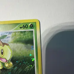 Pokemon TCG Turtwig Holo DP01 Promo Card 2007 Lv10 LP lightly played - Image 4