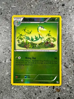 Pokemon TCG Cards Servine 4/114 Black & White Base Reverse Holo LP - Image 1