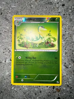 Pokemon TCG Cards Servine 4/114 Black & White Base Reverse Holo LP - Image 3