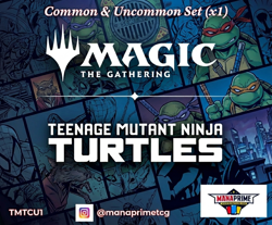 MTG TMNT Complete Common & Uncommon Set x1 - Foil - Private Sale - Image 1