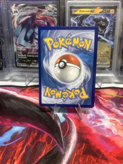 Charizard V SWSH050 SWSH: Sword & Shield Promo Cards Holo - Image 4