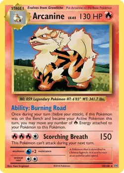 Pokemon ARCANINE RARE XY Evolutions 18/108 NM/MINT PACK FRESH - Image 1