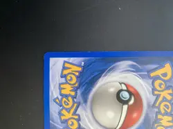 Pokemon Growlithe Skyridge 62/144 Basic 50 HP English TCG Card 2003 - Image 5