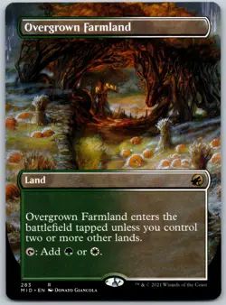 Overgrown Farmland (Borderless) R Innistrad: Midnight Hunt 283 NM - Image 1