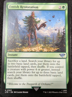 Entish Restoration Universes Beyond: the Lord of the Rings - Image 1