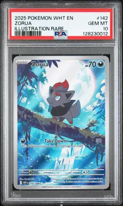 ZORUA 142 POKEMON WHT EN-WHITE FLARE ILLUSTRATION RARE PSA 10 GEM MINT 2025 - Image 1