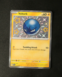 Pokemon Card TCG - Paldean Fates - Baby Shiny Bundle Collection x5 - NM ⭐ - Image 4