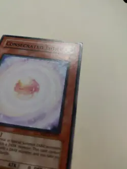 Consecrated Light ABPF-EN033 Common Unlimited LP - Image 2