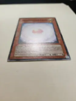 Consecrated Light ABPF-EN033 Common Unlimited LP - Image 4