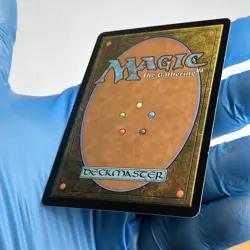 Dandan Time Spiral Timeshifted MTG Magic - Condition Shown In Many Pictures - Image 3