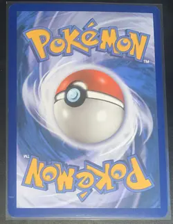 Rayquaza EX XY69 Black Star Promo JUMBO Holo Pokemon Card LP w/ Top Loader - Image 2