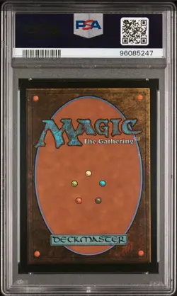 PSA 9 Secret Lair Drop Promo Seedborn Muse Foil #907 MTG Princess Hidir art Mint - Image 3