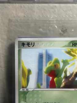 Pokemon Treecko 037 Pokemon Center Sealed Promo - Image 2