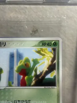 Pokemon Treecko 037 Pokemon Center Sealed Promo - Image 3