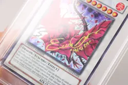 2008 Yu-Gi-Oh Black Rose Dragon CT05-EN003 Signed Erica Schroeder DNA PSA 9 Mint - Image 5