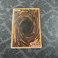 Dragon Zombie - SDY-014 - Common - Unl Edition - YuGiOh! - Image 2
