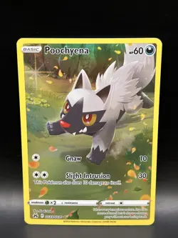 Poochyena GG33/GG70 - Pokemon Crown Zenith Galarian Gallery Card - NM - Image 1