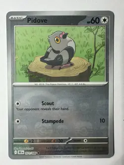Pokemon TCG Pidove (Master Ball Pattern) 071/086 Sv: Black Bolt Holo NM - Image 1