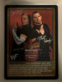 Hardy Boyz Extreme Basekit 18 Card Lot WWF WWE Raw Deal CCG TCG NM - Image 1