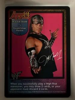 Hardy Boyz Extreme Basekit 18 Card Lot WWF WWE Raw Deal CCG TCG NM - Image 2