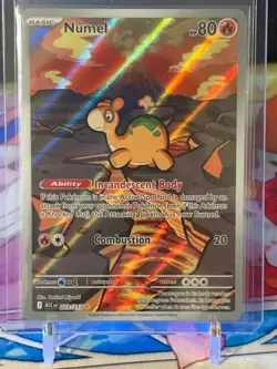 Pokemon TCG Numel 223/217 Ascended Heroes Illustration Rare NM PACK FRESH - Image 1