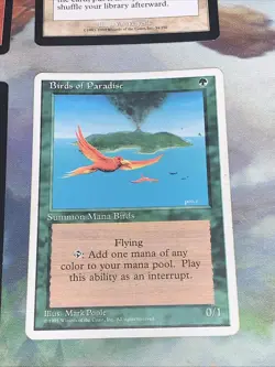 1995 - 1999 Magic: The Gathering Mix Card Lot Variety Sets Raw Moderately Played - Image 4