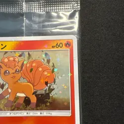 [NEW] Pokemon Card Game Vulpix 146/SM-P Special Box Promo Japanese from Japan - Image 4