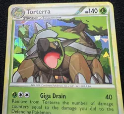 Torterra 10/95 Cracked Ice Holo Bleed Rare Pokemon TCG HGSS Unleashed Card - NM - Image 3