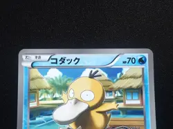 [NM] Psyduck 167/BW-P - Gym Challenge Promo 2012 - Japanese Pokemon TCG - Image 3