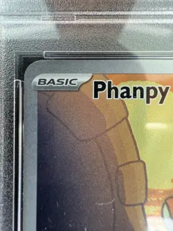 Pokemon Surging Sparks 205/191 Phanpy Illustration Rare PSA 10 - Image 3