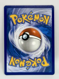 Helioptile - 143/132 Pokemon Illustration Rare ME01: Mega Evolution Card IR NM - Image 3